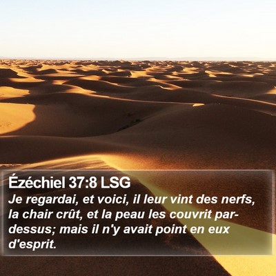 Ézéchiel 37:8 LSG Bible Verse Image