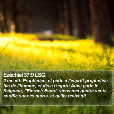 Ézéchiel 37:9 LSG Bible Verse Image