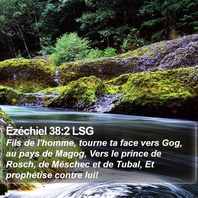 Ézéchiel 38:2 LSG Bible Verse Image