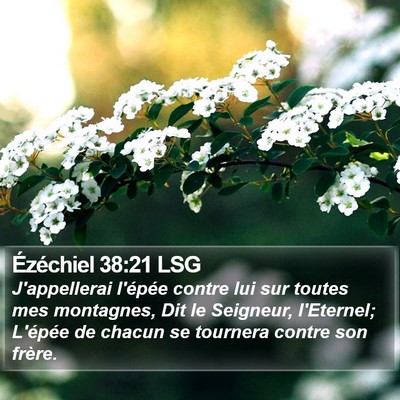 Ézéchiel 38:21 LSG Bible Verse Image