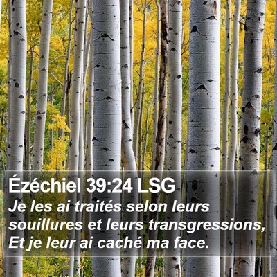 Ézéchiel 39:24 LSG Bible Verse Image