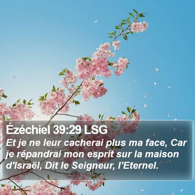 Ézéchiel 39:29 LSG Bible Verse Image