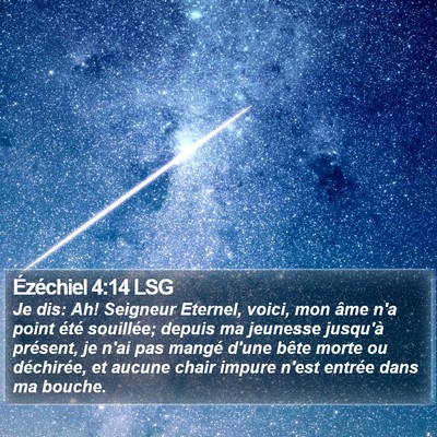 Ézéchiel 4:14 LSG Bible Verse Image