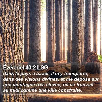 Ézéchiel 40:2 LSG Bible Verse Image