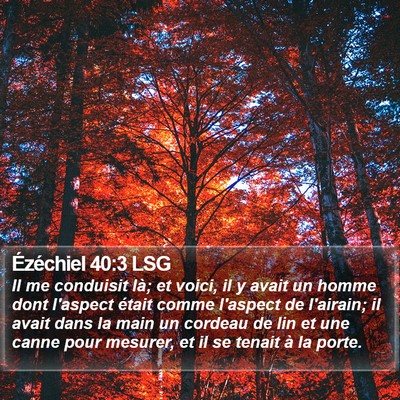 Ézéchiel 40:3 LSG Bible Verse Image