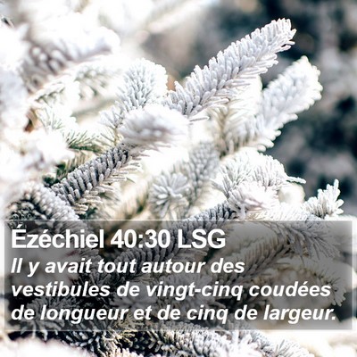 Ézéchiel 40:30 LSG Bible Verse Image
