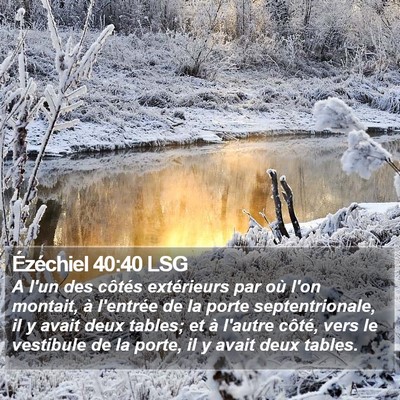 Ézéchiel 40:40 LSG Bible Verse Image