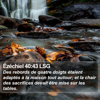 Ézéchiel 40:43 LSG Bible Verse Image