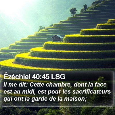 Ézéchiel 40:45 LSG Bible Verse Image