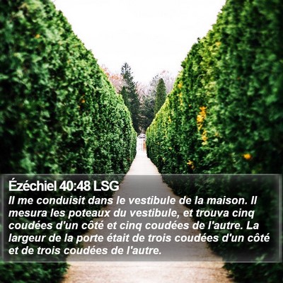 Ézéchiel 40:48 LSG Bible Verse Image