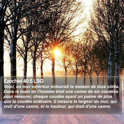 Ézéchiel 40:5 LSG Bible Verse Image