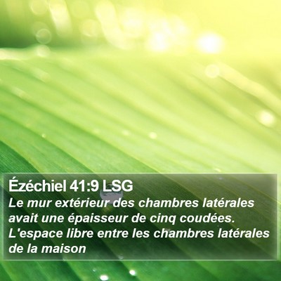 Ézéchiel 41:9 LSG Bible Verse Image