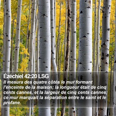 Ézéchiel 42:20 LSG Bible Verse Image