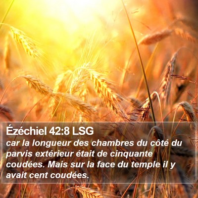 Ézéchiel 42:8 LSG Bible Verse Image
