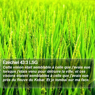 Ézéchiel 43:3 LSG Bible Verse Image