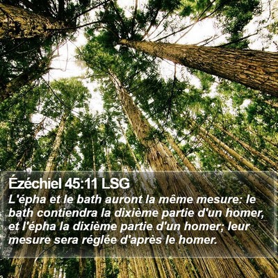 Ézéchiel 45:11 LSG Bible Verse Image