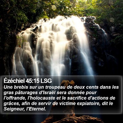 Ézéchiel 45:15 LSG Bible Verse Image