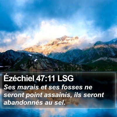 Ézéchiel 47:11 LSG Bible Verse Image