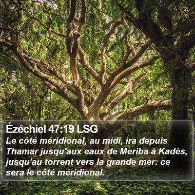 Ézéchiel 47:19 LSG Bible Verse Image