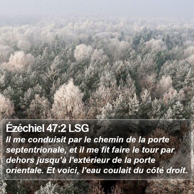Ézéchiel 47:2 LSG Bible Verse Image