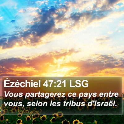 Ézéchiel 47:21 LSG Bible Verse Image