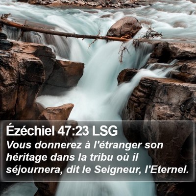 Ézéchiel 47:23 LSG Bible Verse Image