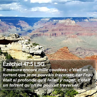 Ézéchiel 47:5 LSG Bible Verse Image