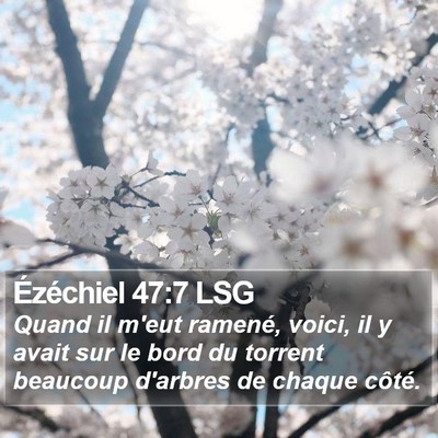 Ézéchiel 47:7 LSG Bible Verse Image