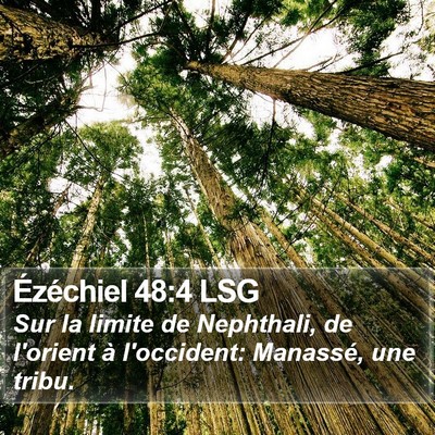 Ézéchiel 48:4 LSG Bible Verse Image
