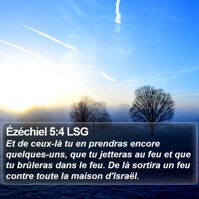 Ézéchiel 5:4 LSG Bible Verse Image