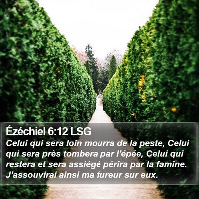 Ézéchiel 6:12 LSG Bible Verse Image