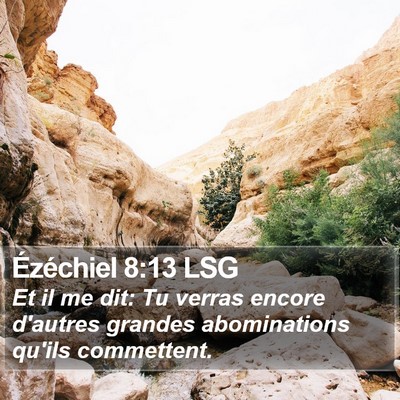 Ézéchiel 8:13 LSG Bible Verse Image