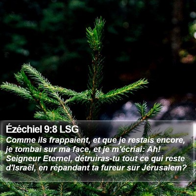 Ézéchiel 9:8 LSG Bible Verse Image