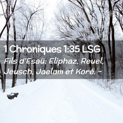 Picture 02 - 1 Chroniques 1:35 LSG - Fils d'Esaü: Eliphaz, Reuel, Jeusch, Jaelam et - Bible Verse Picture