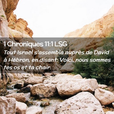 Picture 02 - 1 Chroniques 11:1 LSG - Tout Israël s'assembla auprès de David à - Bible Verse Picture