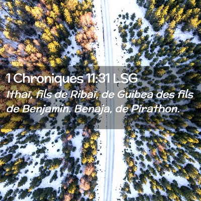 Picture 02 - 1 Chroniques 11:31 LSG - Ithaï, fils de Ribaï, de Guibea des fils de - Bible Verse Picture