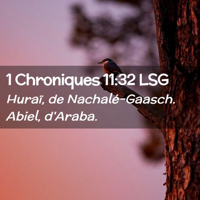 Picture 02 - 1 Chroniques 11:32 LSG - Huraï, de Nachalé-Gaasch. Abiel, - Bible Verse Picture
