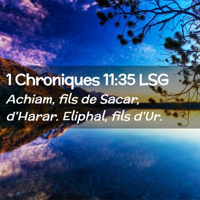 Picture 02 - 1 Chroniques 11:35 LSG - Achiam, fils de Sacar, d'Harar. Eliphal, fils - Bible Verse Picture