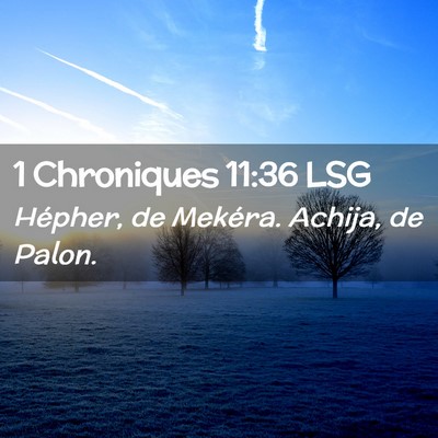 Picture 02 - 1 Chroniques 11:36 LSG - Hépher, de Mekéra. Achija, de - Bible Verse Picture