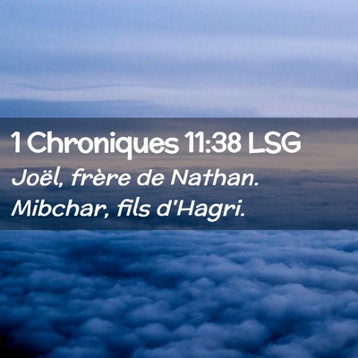 Picture 02 - 1 Chroniques 11:38 LSG - Joël, frère de Nathan. Mibchar, fils - Bible Verse Picture