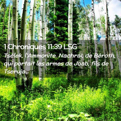 Picture 02 - 1 Chroniques 11:39 LSG - Tsélek, l'Ammonite. Nachraï, de Béroth, qui - Bible Verse Picture