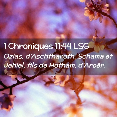 Picture 02 - 1 Chroniques 11:44 LSG - Ozias, d'Aschtharoth. Schama et Jehiel, fils de - Bible Verse Picture