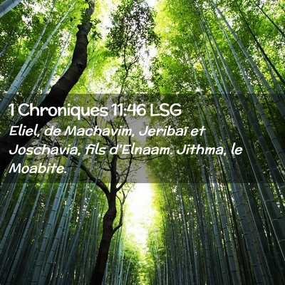 Picture 02 - 1 Chroniques 11:46 LSG - Eliel, de Machavim, Jeribaï et Joschavia, fils - Bible Verse Picture