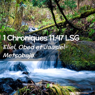 Picture 02 - 1 Chroniques 11:47 LSG - Eliel, Obed et - Bible Verse Picture