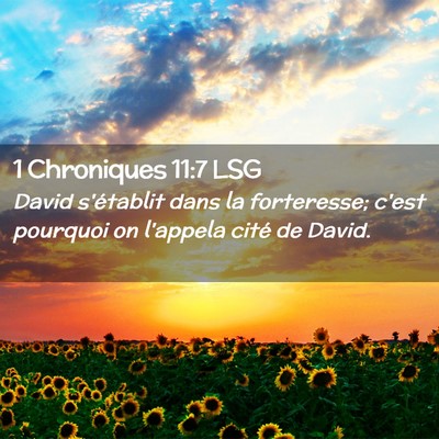 Picture 02 - 1 Chroniques 11:7 LSG - David s'établit dans la forteresse; c'est - Bible Verse Picture