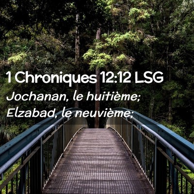 Picture 02 - 1 Chroniques 12:12 LSG - Jochanan, le huitième; Elzabad, le - Bible Verse Picture