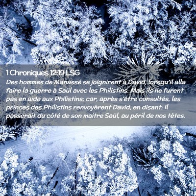 Picture 02 - 1 Chroniques 12:19 LSG - Des hommes de Manassé se joignirent à David, - Bible Verse Picture