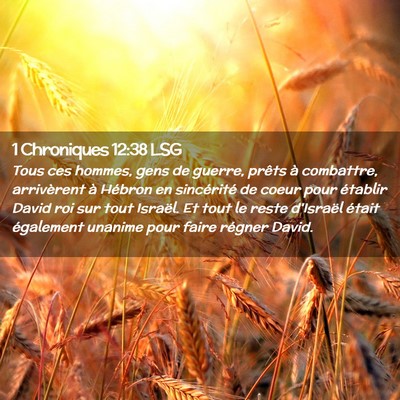 Picture 02 - 1 Chroniques 12:38 LSG - Tous ces hommes, gens de guerre, prêts à - Bible Verse Picture