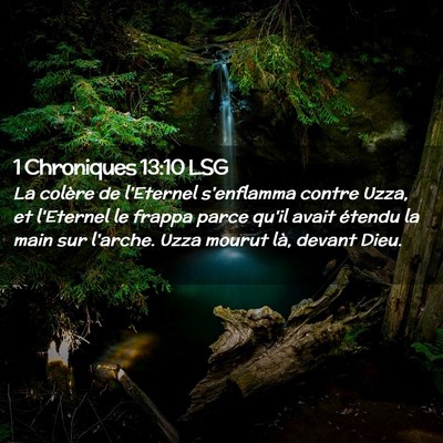 Picture 02 - 1 Chroniques 13:10 LSG - La colère de l'Eternel s'enflamma contre Uzza, - Bible Verse Picture