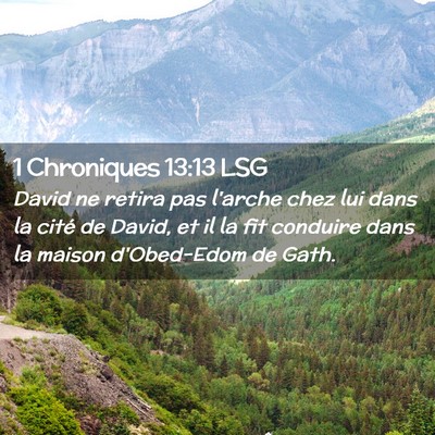 Picture 02 - 1 Chroniques 13:13 LSG - David ne retira pas l'arche chez lui dans la - Bible Verse Picture